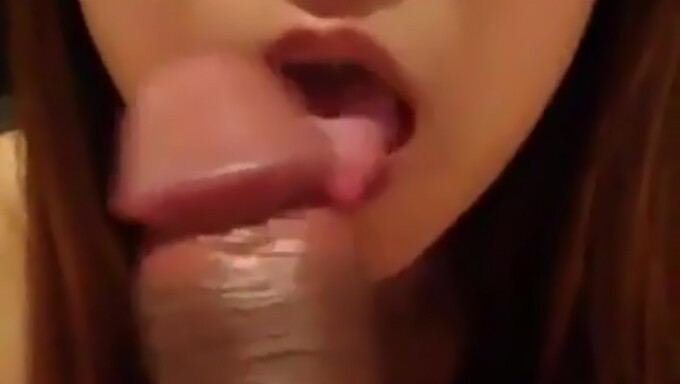 Asian Girl Gives A Nice Blowjob In Pov