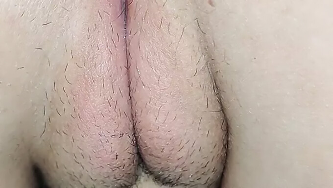 Juicy Pussy And Anal Play In Hd Video